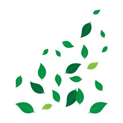 scattered leaf background illustration design