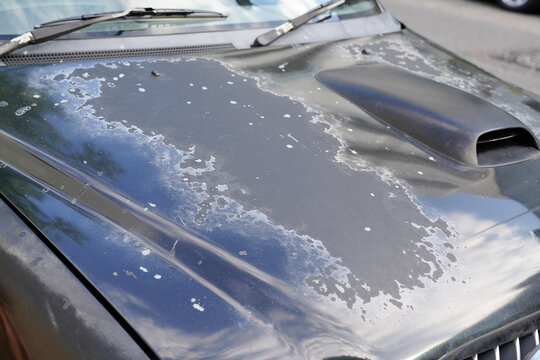 grey car used peeling silver paint on grunge hood of old automobile