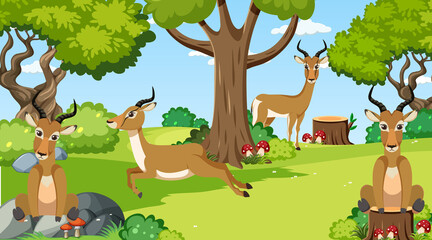 Obraz na płótnie Canvas Gazelles in the forest scene