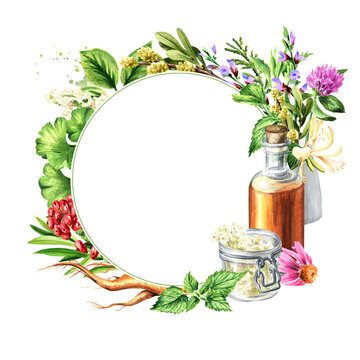 Medicinal plants for Herbal homemade organic tincture template. Alternative medicine , herbal collection. Hand drawn watercolor illustration  isolated on white background