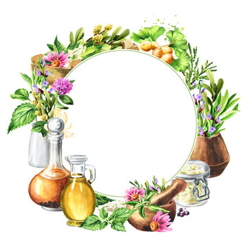 Medicinal plants for Herbal homemade organic tincture template. Alternative medicine , herbal collection. Hand drawn watercolor illustration, isolated on white background