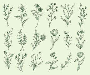 Botanical leaf and flower vector set. Earth tone boho foliage line art drawing with abstract shape.