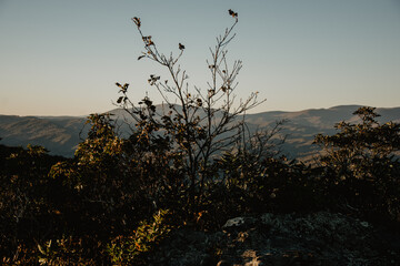 Fototapeta premium sunset in the mountains