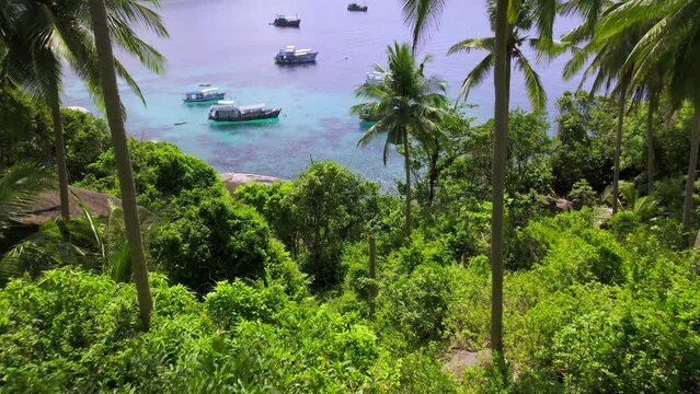 tropical island and sea view form above,koh tao