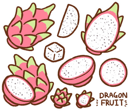 Dragon Fruit Cartoon Drawing Set