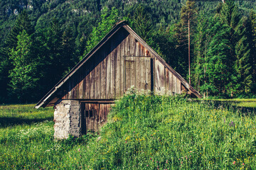 Beautiful landscape in nature