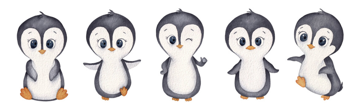 Penguins. A set of little penguins. Watercolor hand drawn illustration isolated on white background.