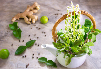  herbs galangal flowers and basil leaves in a white pot on concrete background with lemon ginger and lemon grass.