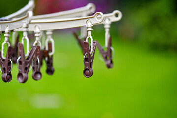 Brown clothespins for attaching clothes to the dryer.
