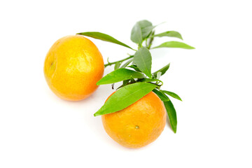 Tangerine fruits isolated on white. Fresh tangerine with green leaves