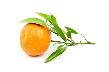 Tangerine fruit isolated on white. Fresh tangerine with green leaves