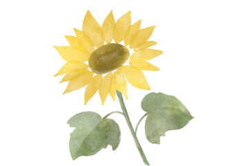 ひまわりの水彩イラスト