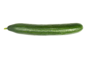 Whole fresh green cucumber isolated on white background.