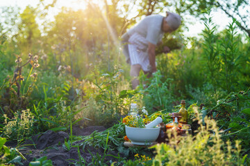 An old woman collects medicinal herbs. Selective focus.