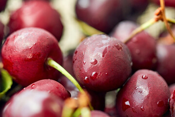 Berries of ripe sweet cherries in water drops.