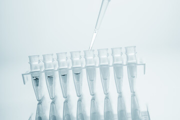  PCR Tube Strips Well  and Pipette in genetic research laboratory close up