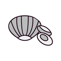 Clam Icon