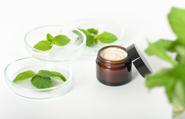 Obraz na płótnie Canvas herbal cosmetic cream and mint leaves in petri dish, natural cosmetics, laboratory developed face care, selective focus