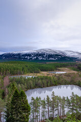 Fototapeta na wymiar Beautiful view of Scotland Cairngorm mountains, forest and lakes reflecting trees.