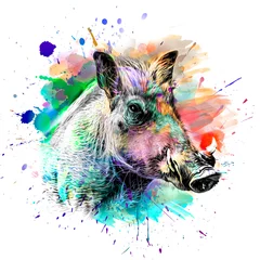 Foto op Plexiglas pig head with creative colorful abstract elements on dark background © reznik_val