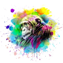 Poster colorful artistic monkey muzzle with bright paint splatters on white background. © reznik_val