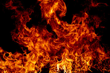 Fire flame. Burn lights on a black background.