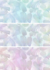 Three different coloured delicate feather background banners - random scattered small feathers in blue, pink, green ideal for holistic spiritual gift vouchers, coupons, advert templates
