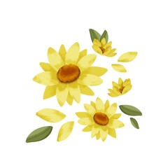 ヒマワリの挿し絵