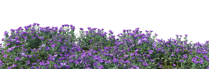 Fototapeta premium 3d render distance in front of the camera Flower garden on a white background