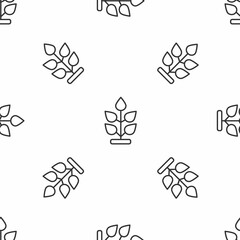 Grey line Plant icon isolated seamless pattern on white background. Seed and seedling. Leaves sign. Leaf nature. Vector