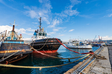 Group of tugboats and fishing boats in the international port of La Spezia, Mediterranean sea, Gulf...