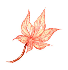 Bright, colorful autumn leaf. Watercolor fall illustration