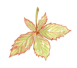 Bright, colorful autumn leaf. Watercolor fall illustration