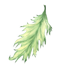 Bright, colorful autumn leaf. Watercolor fall illustration