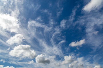 Fototapeta premium White fluffy clouds and a blue sky