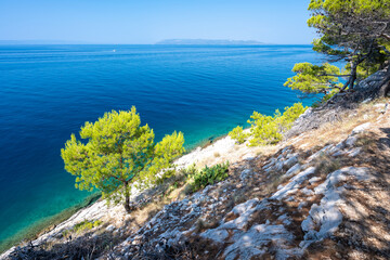 Fototapeta na wymiar amazing coast of adriatic sea in Makarska in Dalmatia in Croatia
