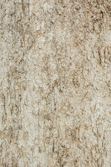 embossed texture background of brown bark