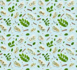 Seamless floral pattern of blooming white Robinia pseudoacacia or black locust false acacia flowers leaves and seeds on blue background top view flat lay