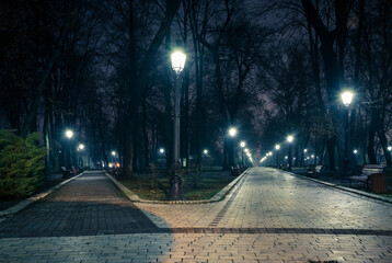 The alley of a night autumn park in a light fog. Footpath in a fabulous late autumn city park at night with benches and latterns. Beautiful cold evening in Mariinsky Park. Kyiv, Ukraine.