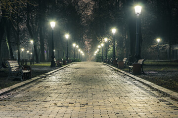 The alley of a night autumn park in a light fog. Footpath in a fabulous late autumn city park at...