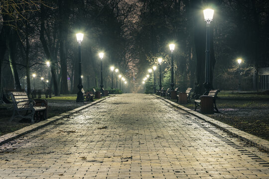 Fototapeta The alley of a night autumn park in a light fog. Footpath in a fabulous late autumn city park at night with benches and latterns. Beautiful cold evening in Mariinsky Park. Kyiv, Ukraine.