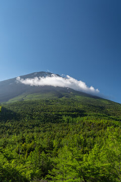 奥庭から見た初夏の富士山