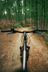 Fototapeta na wymiar No hands cyclist riding in the forest first-person view.