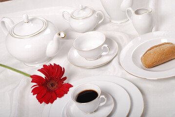 Luxury china dinnerware. Elegant golden design porcelain dishes.