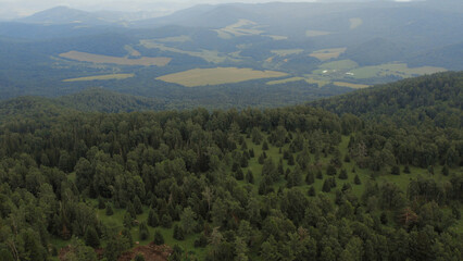 Obraz premium Green forest and valley on mountains of Manzherok under blue sky