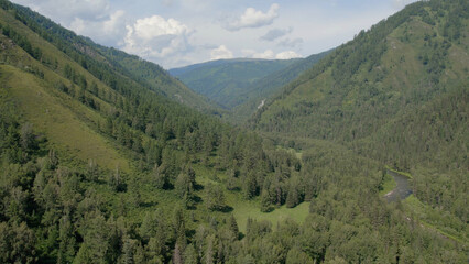 Obraz premium River in mountains with green forest in Altai