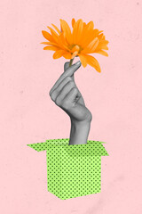 Collage 3d image of pinup pop retro sketch of arm palm growing from box holding orande flower isolated pink background
