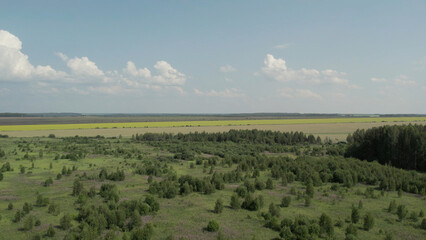 Green and yellow rural fields with blue sky in summer time in Ural © TravelFlow