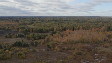 Obraz premium Autumn yellow and green forest in Ural