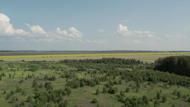 Green and yellow rural fields with blue sky in summer time in Ural